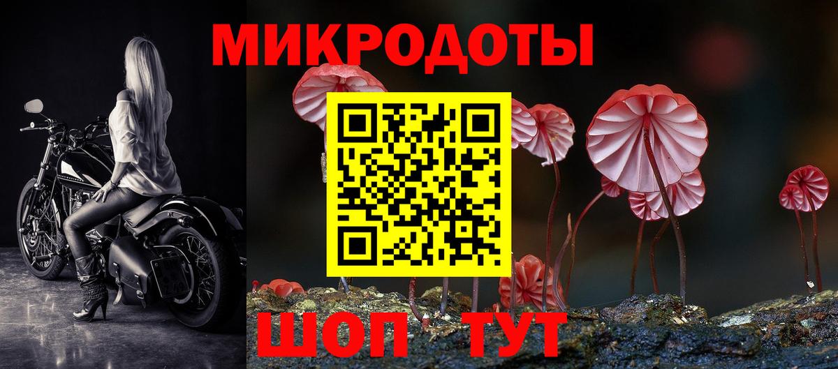 Псилоцибиновые грибы Psilocybine cubensis  Псилоцибиновые грибы MAGIC MUSHROOMS  Унеча  Вход с VPN 