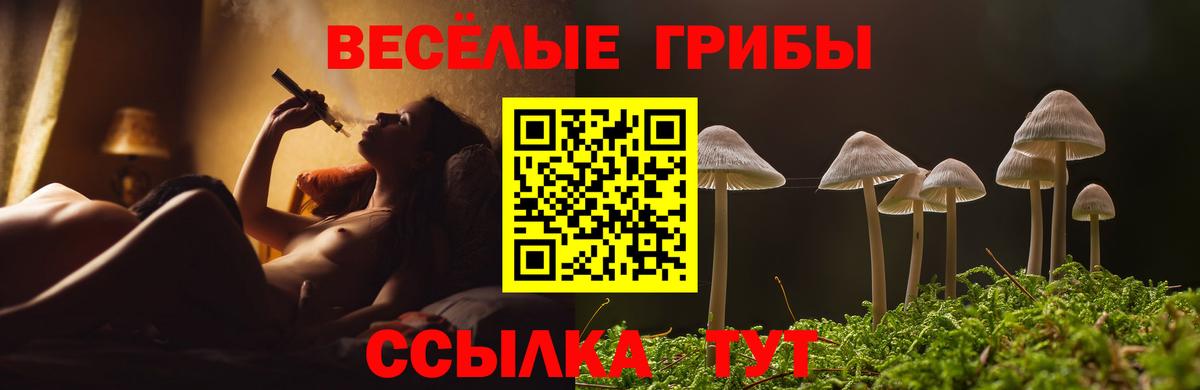 Псилоцибиновые грибы Magic Shrooms Унеча